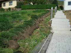 phoca_thumb_l_l006.jpg